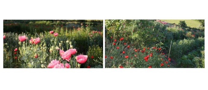 2017 Année sèche ?